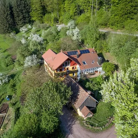 Feriehus Am Schoenwasen Comfortable