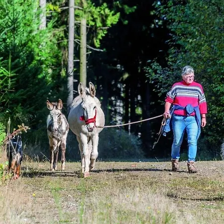 Feriehus Am Schoenwasen Comfortable Freiamt